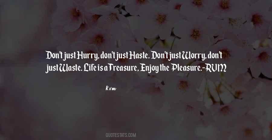 Just Enjoy Life Quotes #632482