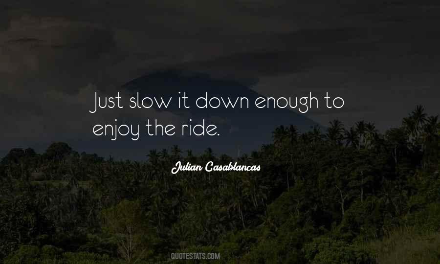 Just Enjoy The Ride Quotes #652431