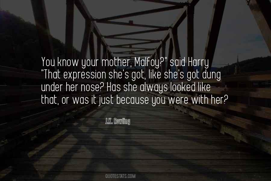 Just Like Your Mother Quotes #285838