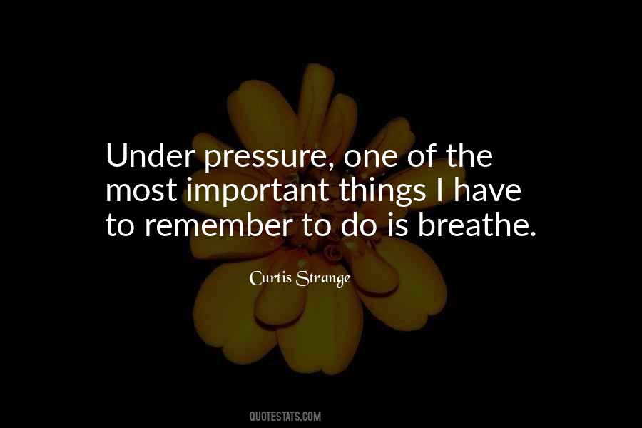 Just Remember To Breathe Quotes #253867