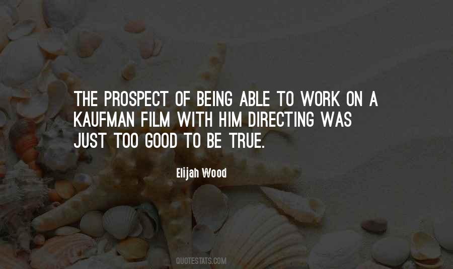 Just Too Good To Be True Quotes #1474178