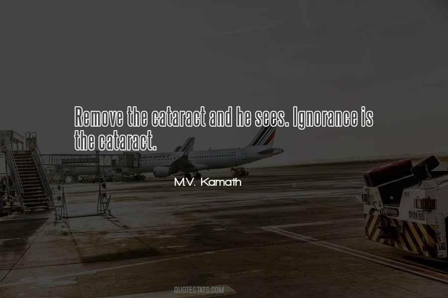 K V Kamath Quotes #1844906