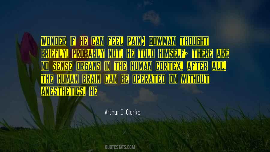 Kaptin Bluddflagg Quotes #1574496