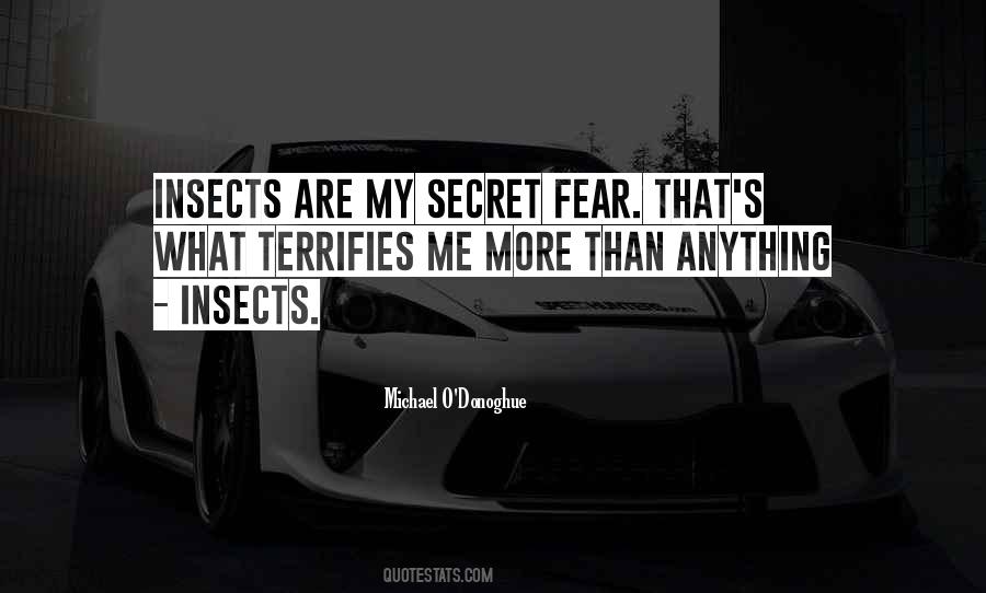 Quotes About Terrifies #302461