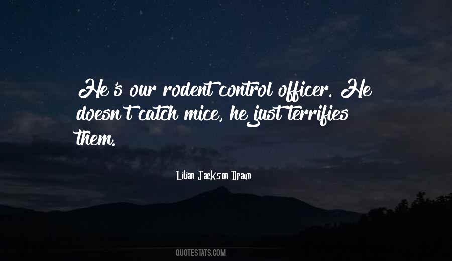 Quotes About Terrifies #656955