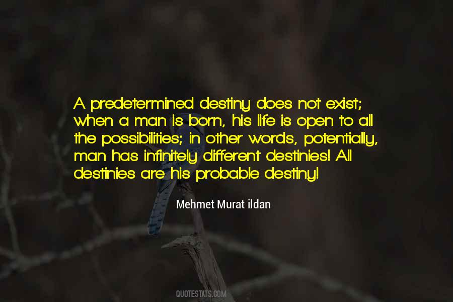 Kasal Kasali Kasalo Quotes #778954