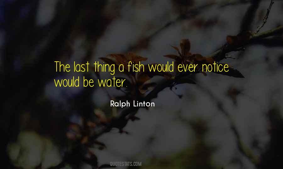 Katorse Enchong Dee Quotes #1534301