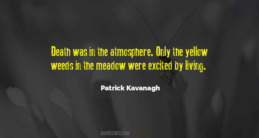 Kavanagh Quotes #1682556