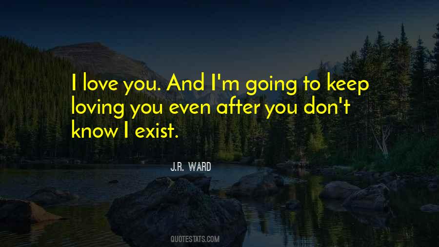 Keep Going Love Quotes #489540