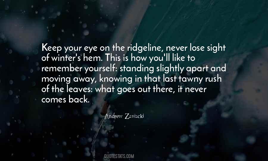 Keep Standing Up Quotes #565388