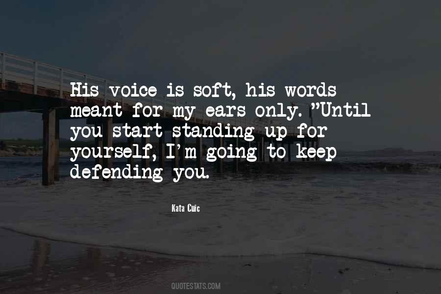 Keep Standing Up Quotes #887888
