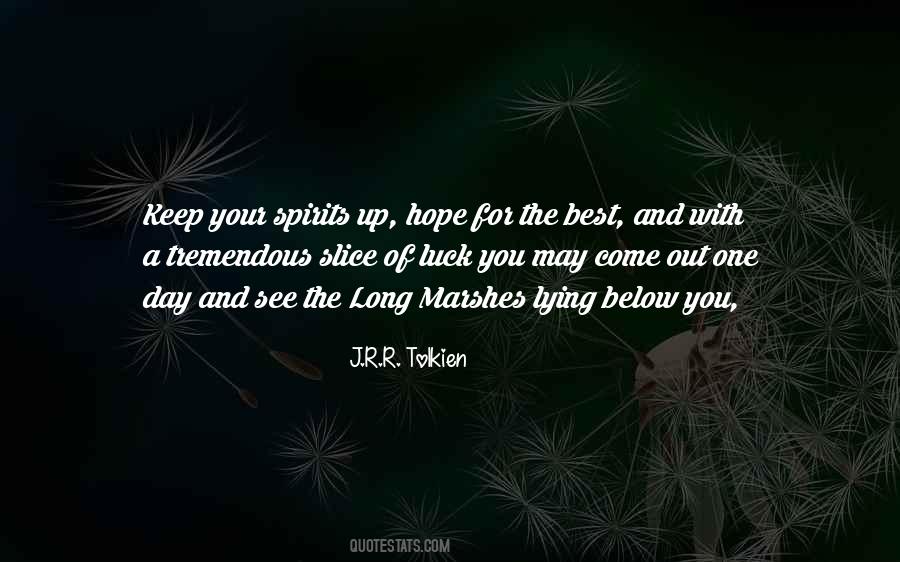 Keep Your Spirits Up Quotes #974471