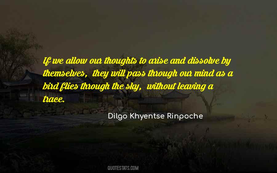 Khyentse Rinpoche Quotes #1818700