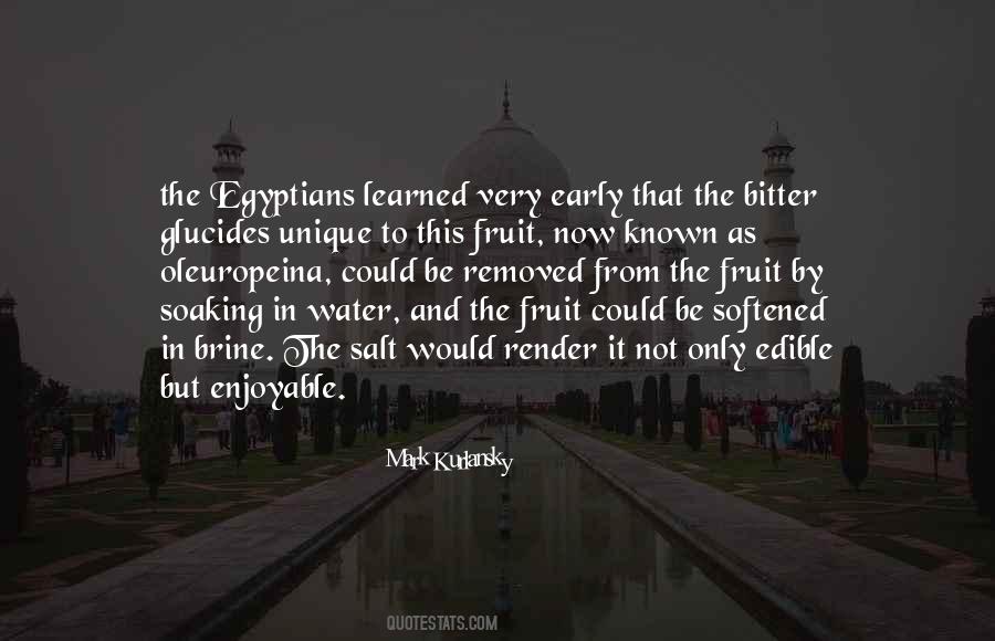 Quotes About Egyptians #1268558