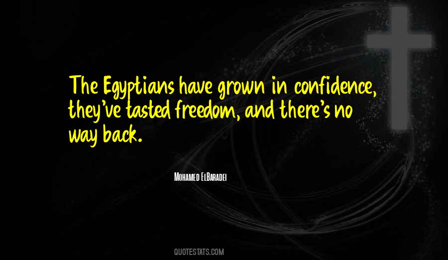 Quotes About Egyptians #787505