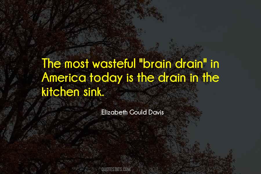 Kitchen Sink Quotes #375444