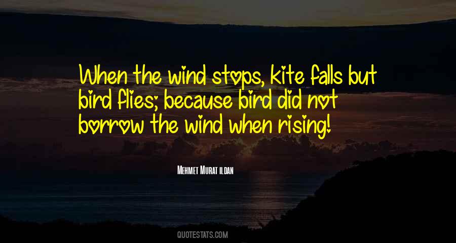 Kite Quotes #859073