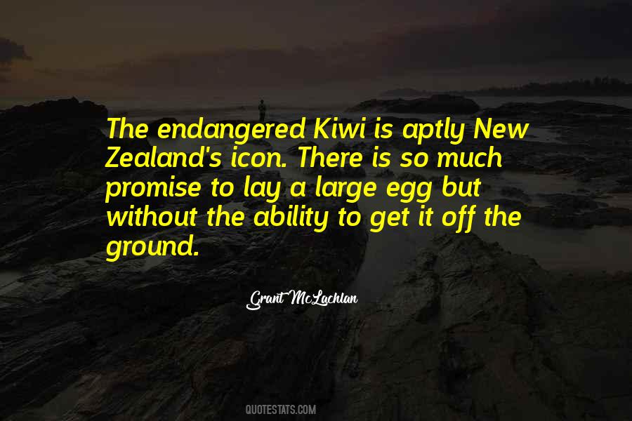 Top 32 Kiwi Quotes: Famous Quotes & Sayings About Kiwi