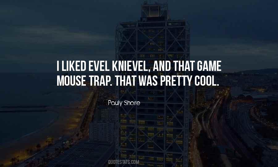 Knievel Quotes #659362
