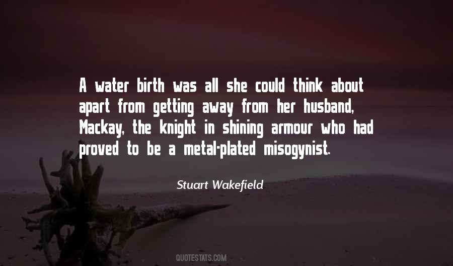 Knight In Shining Armour Quotes #1080191