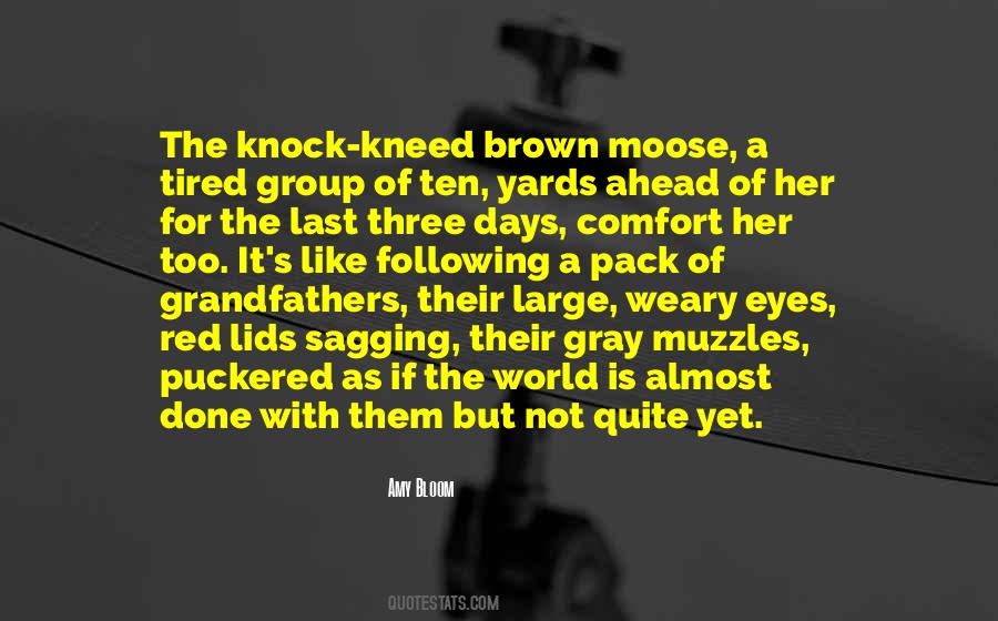 Knock Kneed Quotes #340615