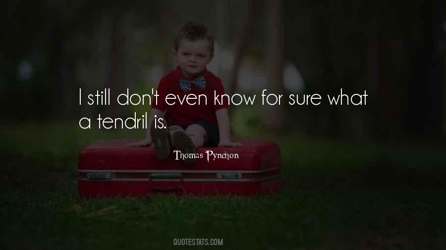 Know For Sure Quotes #253993