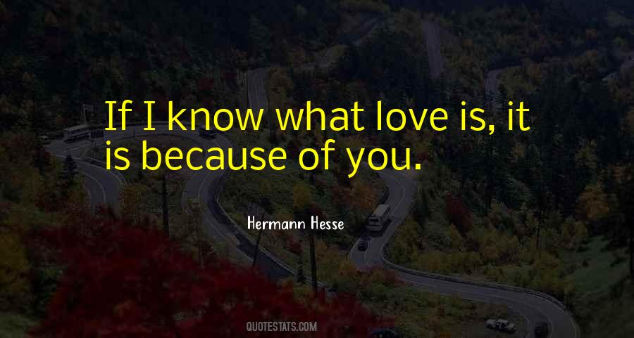 Know I Love You Quotes #12838
