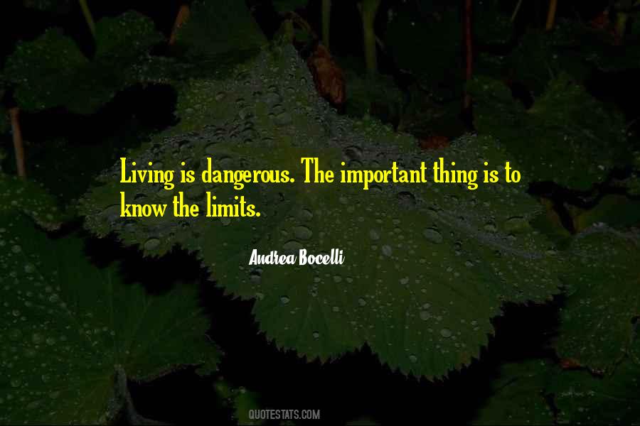 Know My Limits Quotes #486755