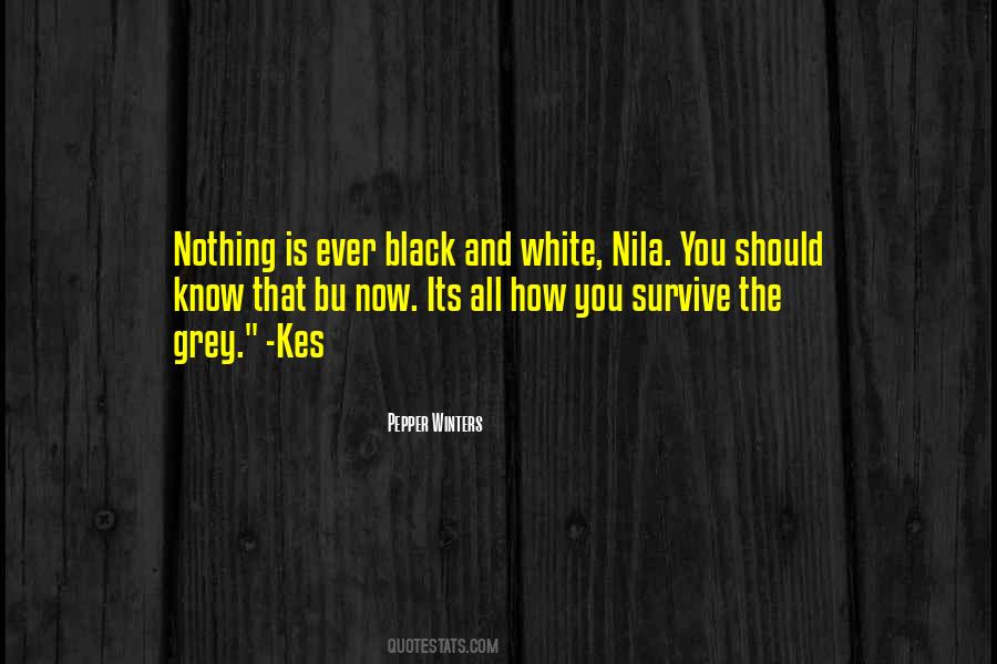 Know No Limits Quotes #557967