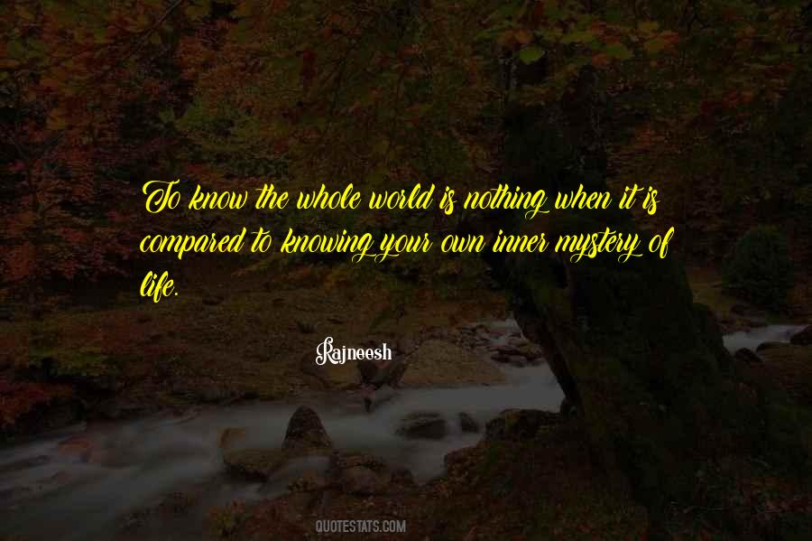 Knowing The World Quotes #398825