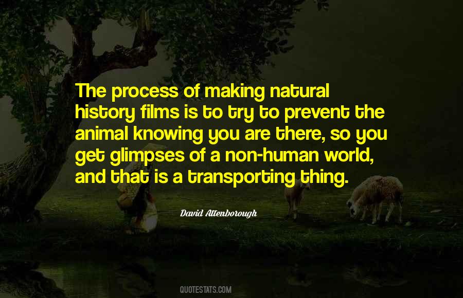 Knowing The World Quotes #80033