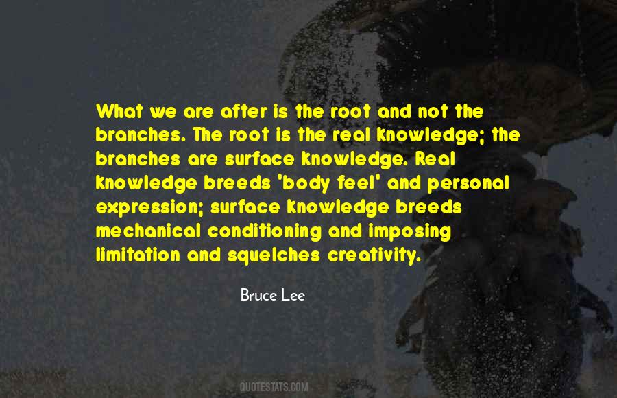 Knowledge And Creativity Quotes #1195806