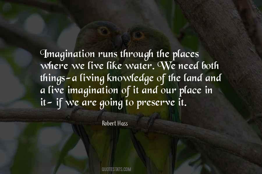 Knowledge And Imagination Quotes #115083
