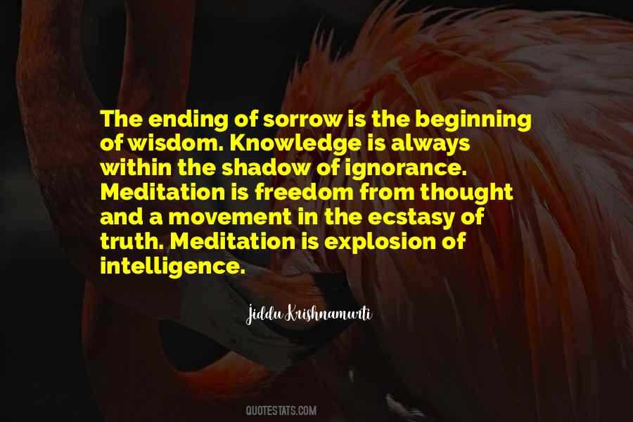 Knowledge Is Ignorance Quotes #72339