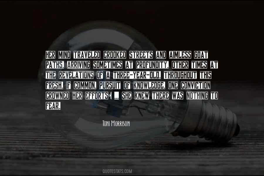 Knowledge Pursuit Quotes #1526591