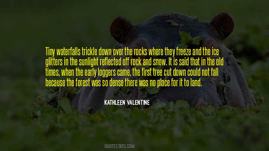 Kransky Sisters Quotes #1265037