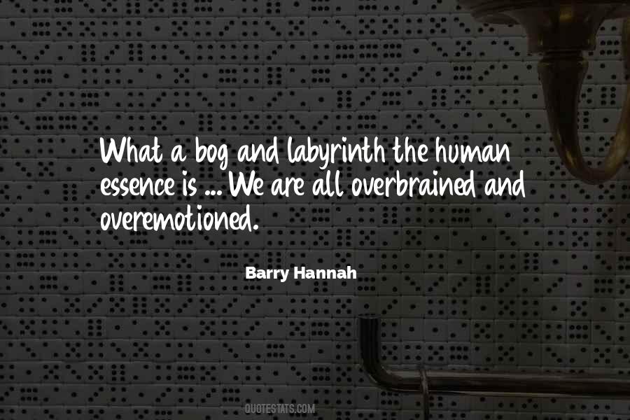 Labyrinth Quotes #101329 Labyrinth Quotes #101329