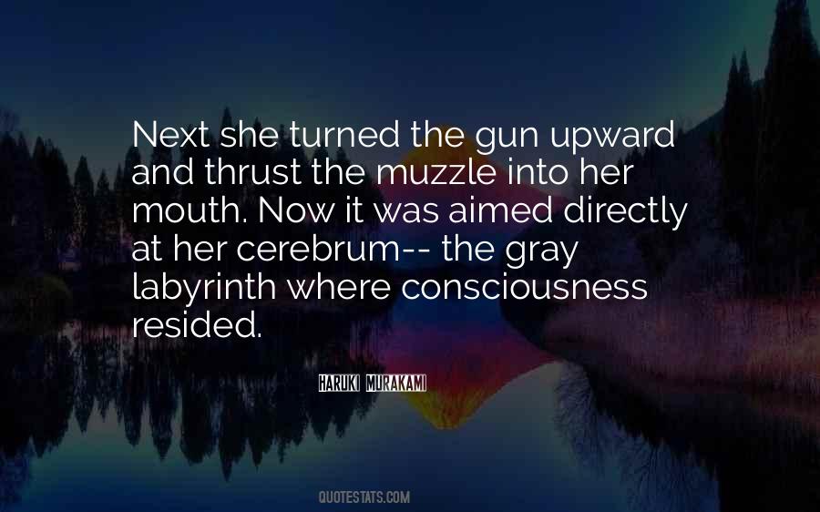 Labyrinth Quotes #162501 Labyrinth Quotes #162501