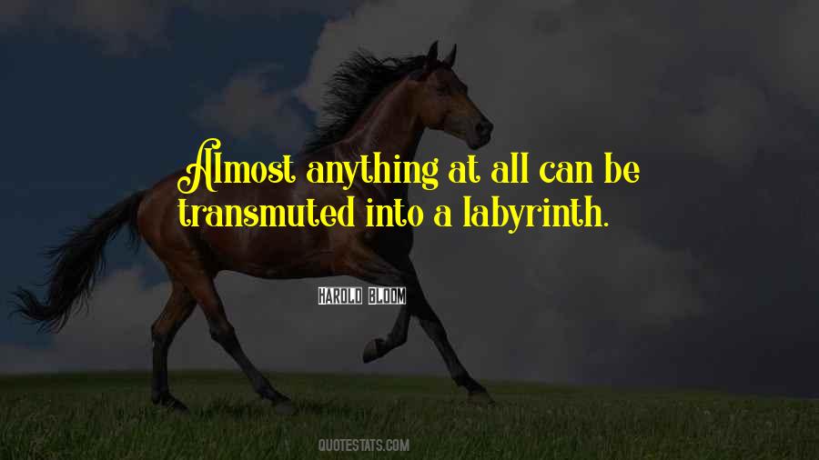 Labyrinth Quotes #214306 Labyrinth Quotes #214306