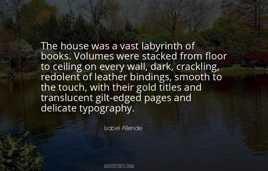 Labyrinth Quotes #810543 Labyrinth Quotes #810543