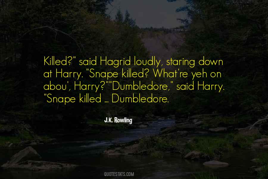 Quotes About Dumbledore Snape #1211008