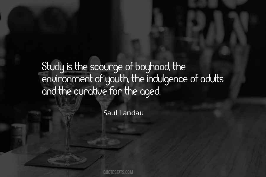 Landau Quotes #1507817