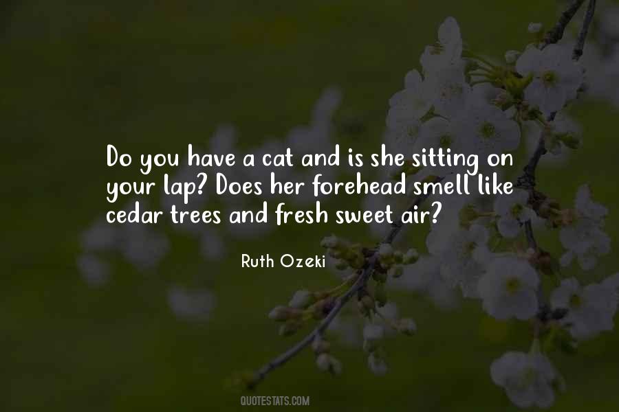 Lap Cat Quotes #964850