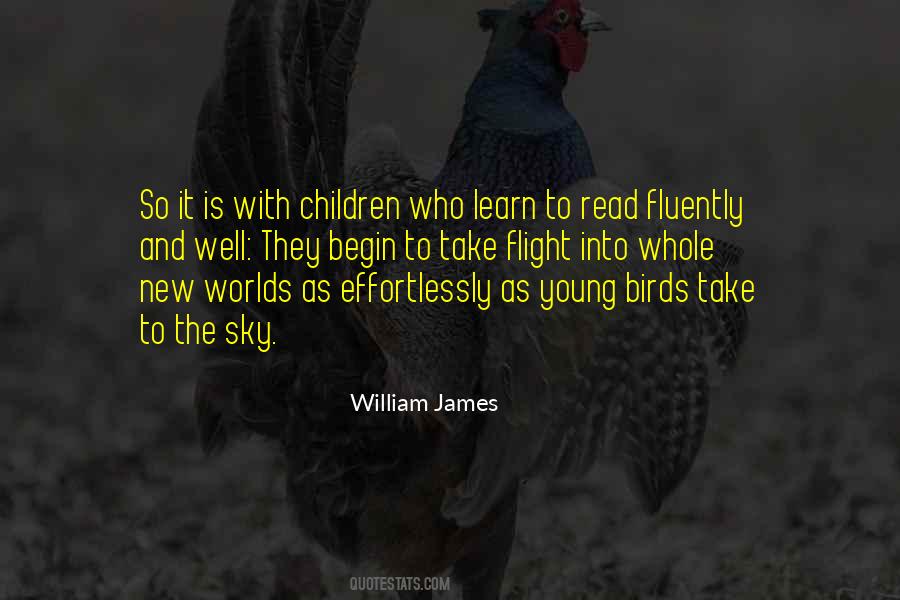 Last Boy Scout Quotes #1727729