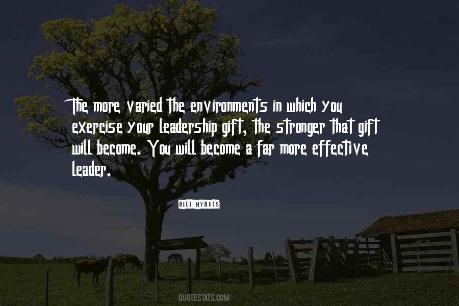 Last Sunset Of The Year Quotes #1032708