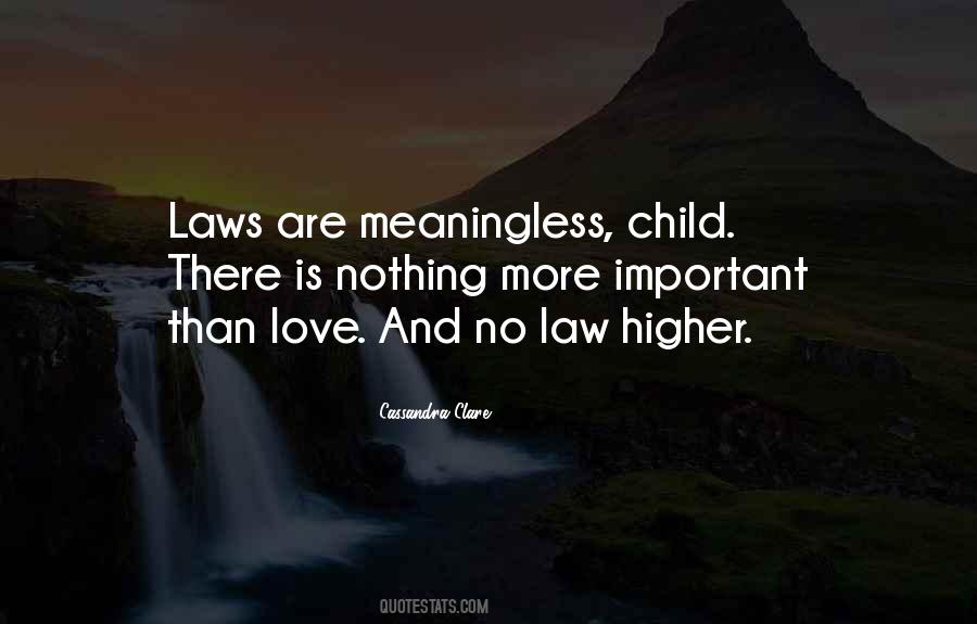 Law And Love Quotes #602597