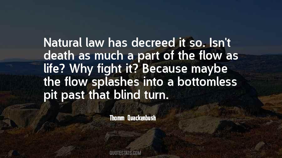 Law Is Blind Quotes #714258