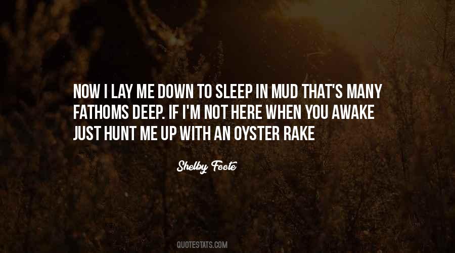 Lay Awake Quotes #261338