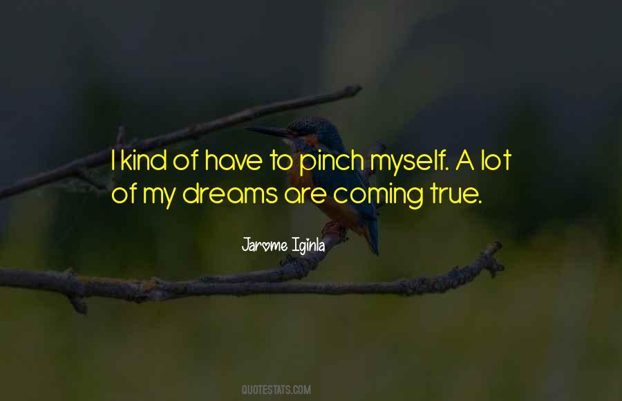 Quotes About Dream Coming True #369252