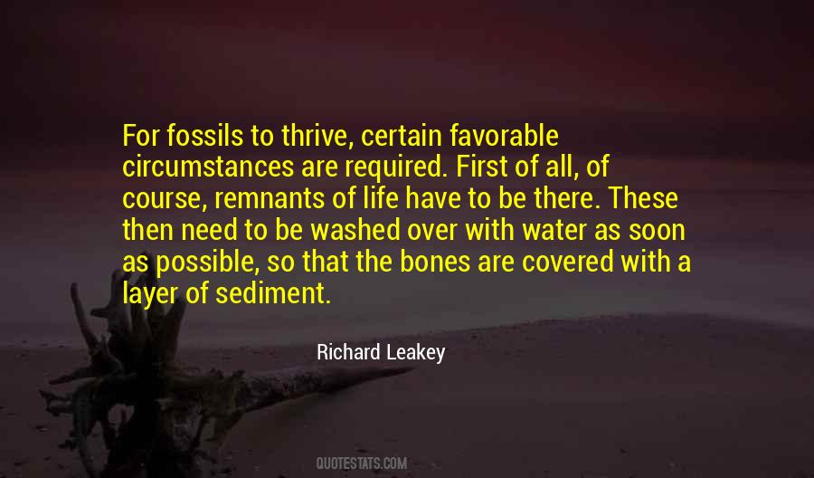 Leakey Quotes #1127739